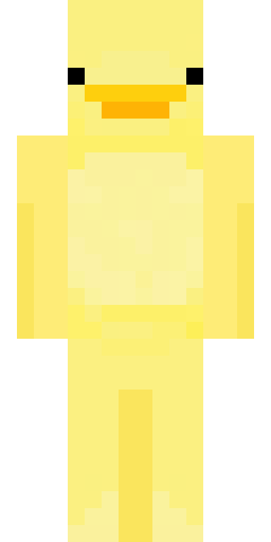 BODY