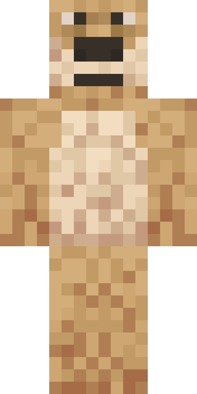 BODY