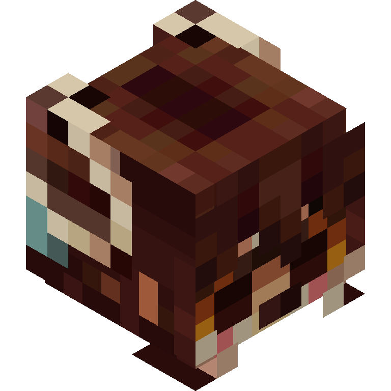 HEAD_ISO