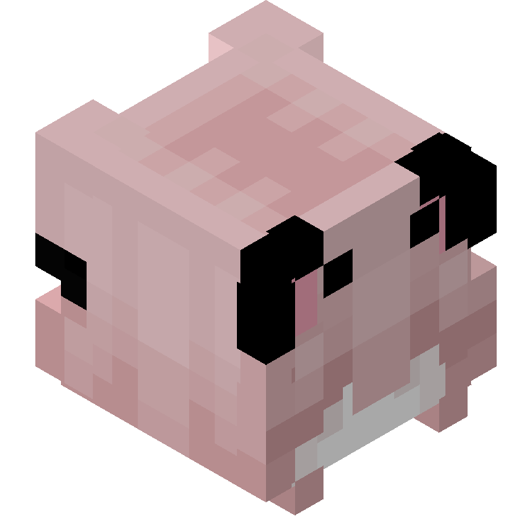 HEAD_ISO