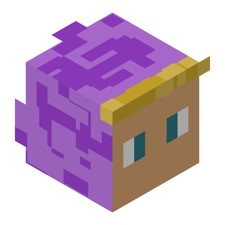 HEAD_ISO