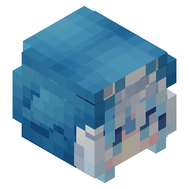 HEAD_ISO