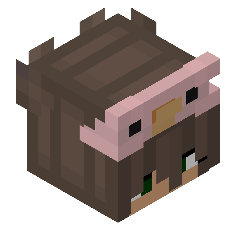 HEAD_ISO