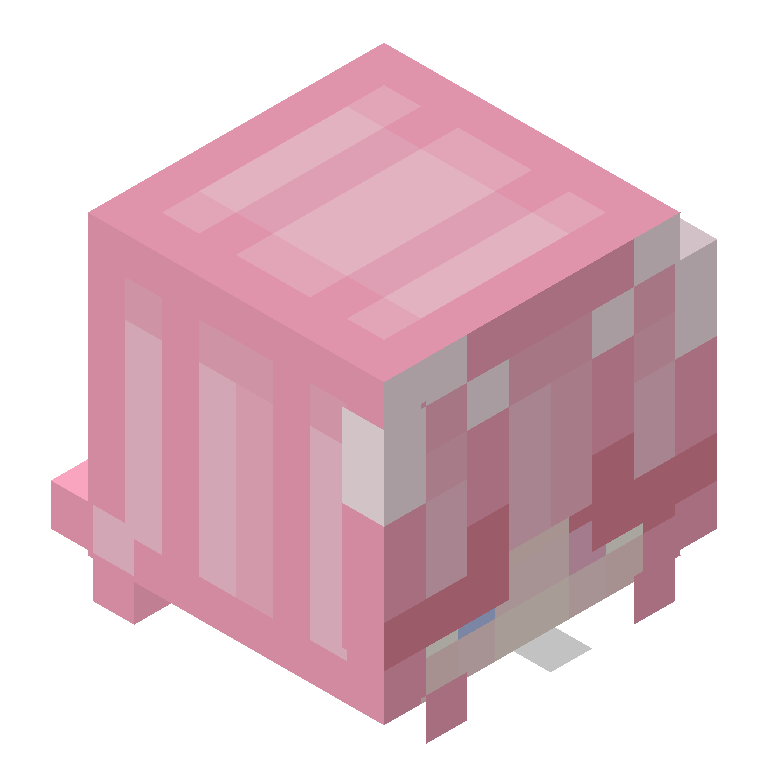 HEAD_ISO