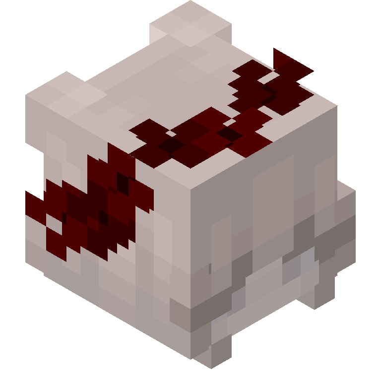 HEAD_ISO