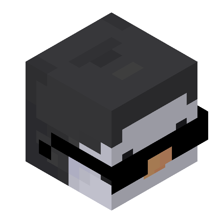 HEAD_ISO
