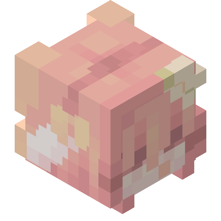 HEAD_ISO