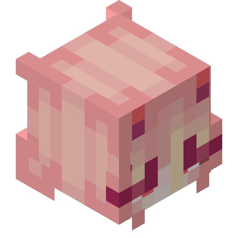 HEAD_ISO