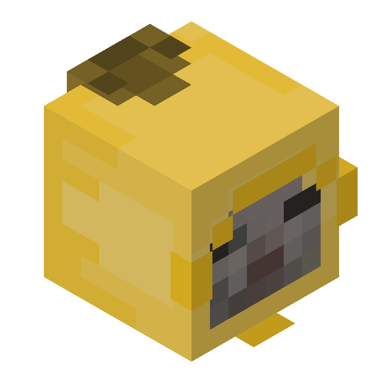 HEAD_ISO