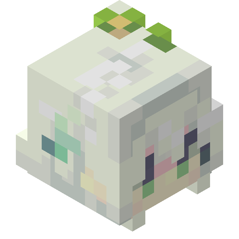HEAD_ISO