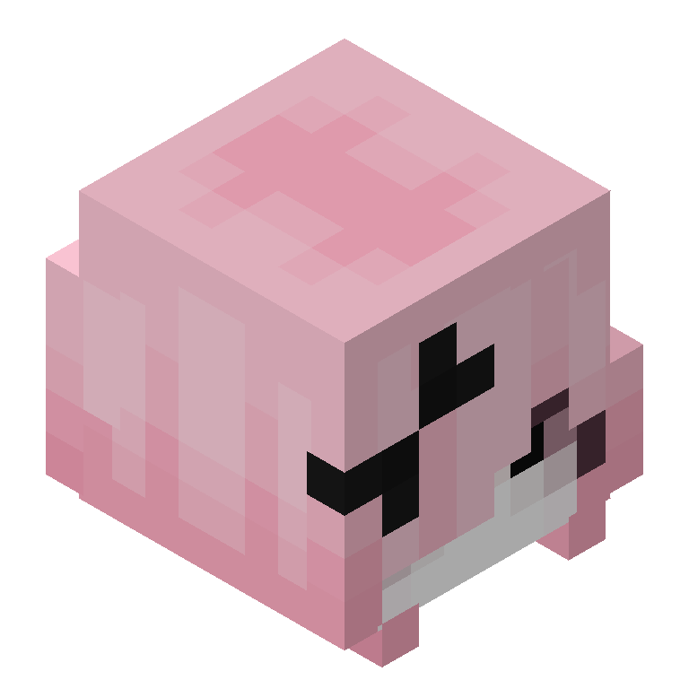 HEAD_ISO