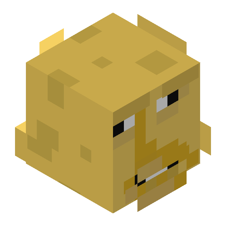 HEAD_ISO
