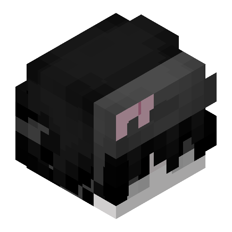 HEAD_ISO
