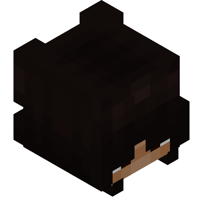 HEAD_ISO