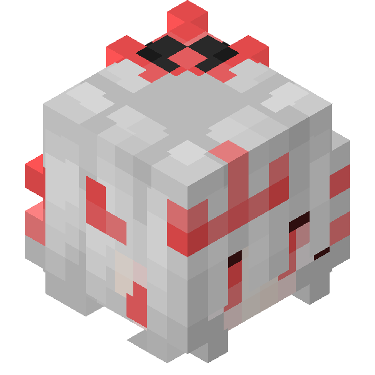 HEAD_ISO