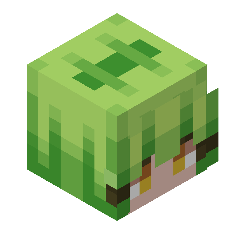HEAD_ISO
