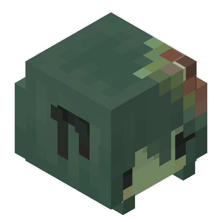 HEAD_ISO
