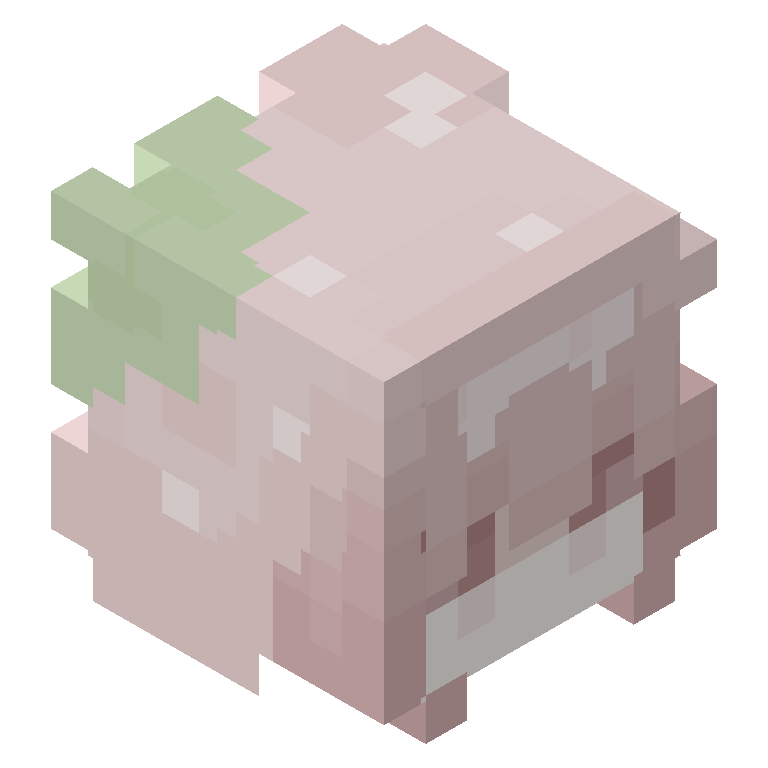 HEAD_ISO