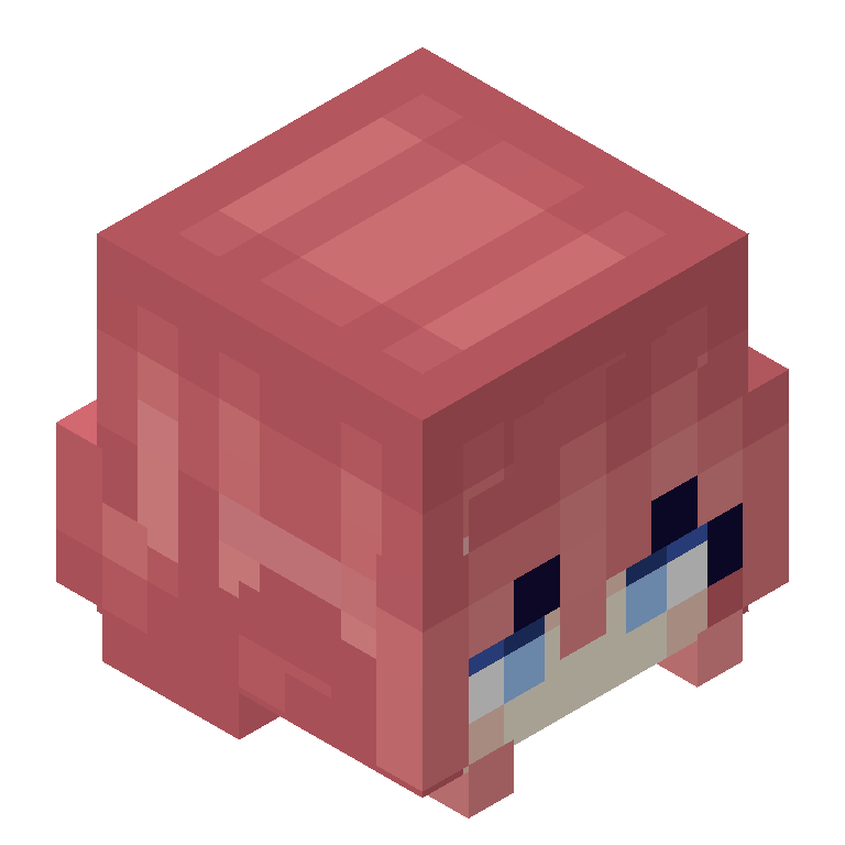 HEAD_ISO