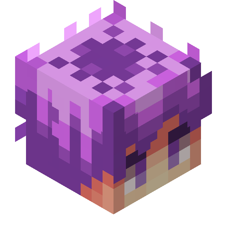 HEAD_ISO