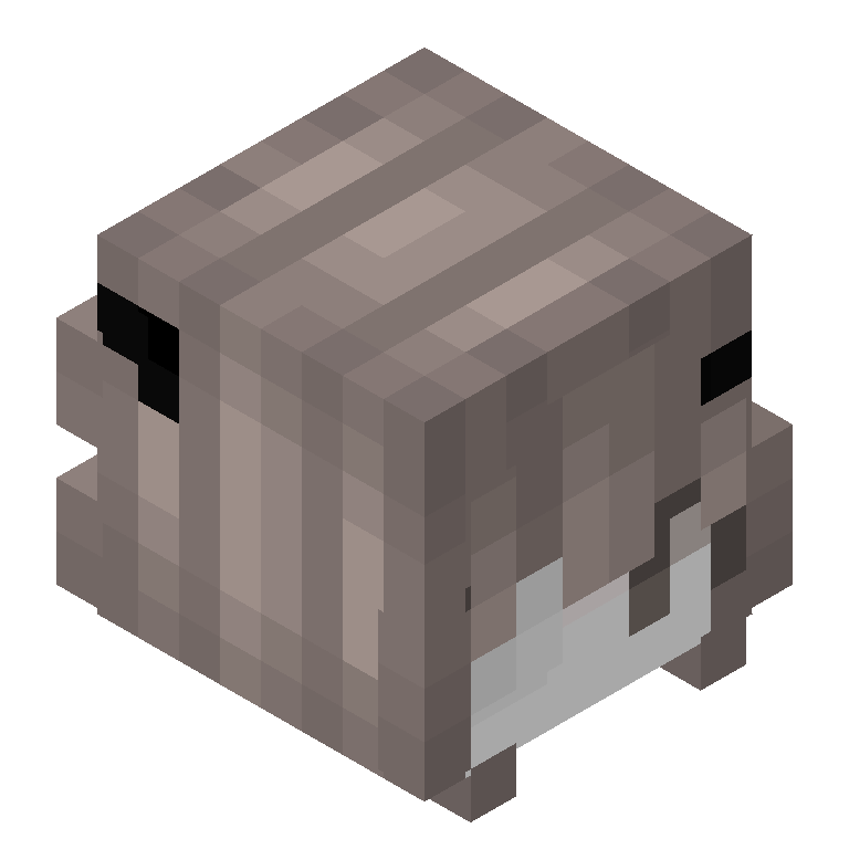 HEAD_ISO