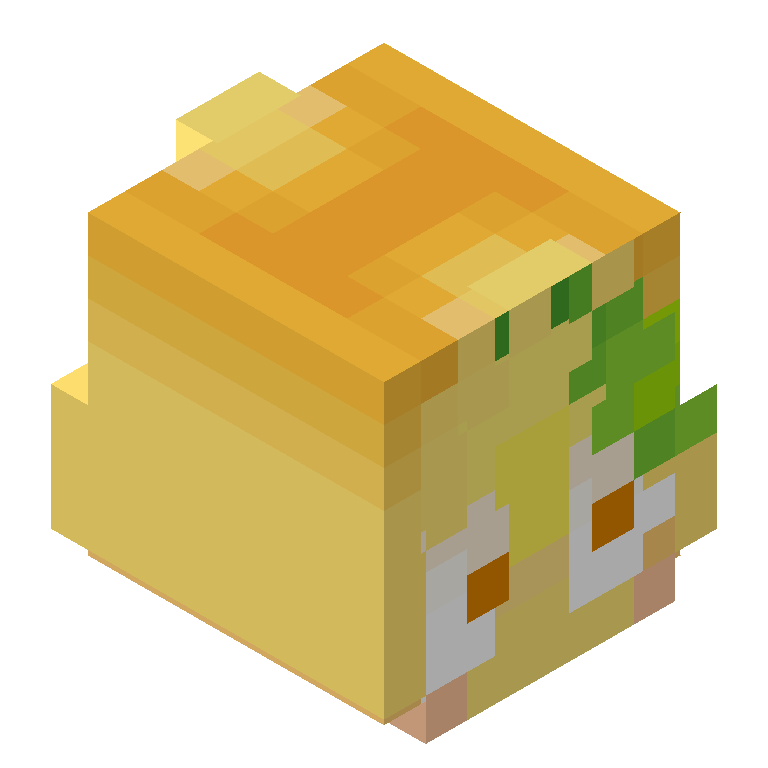 HEAD_ISO