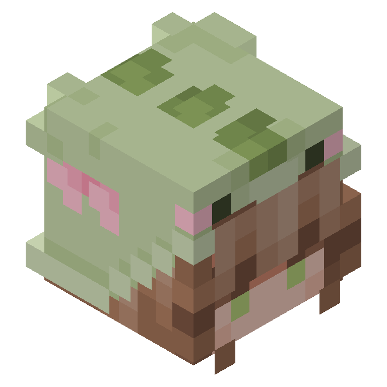 HEAD_ISO