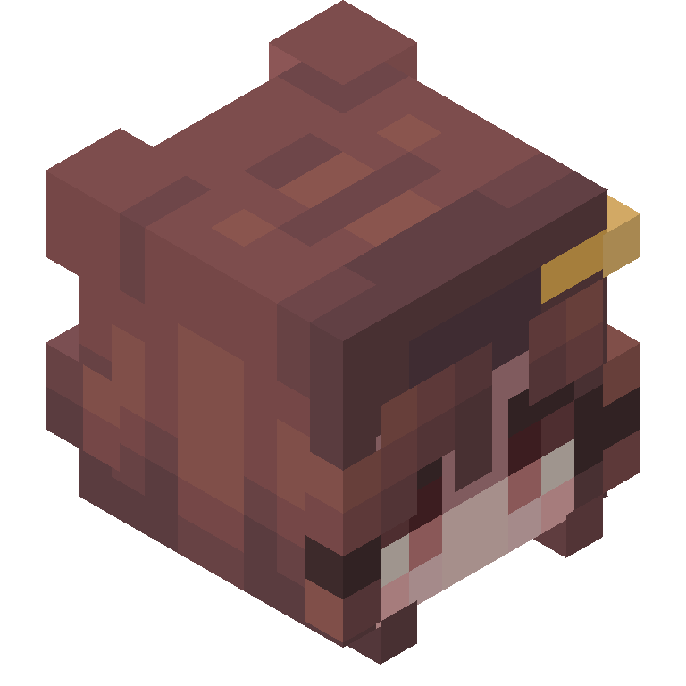 HEAD_ISO
