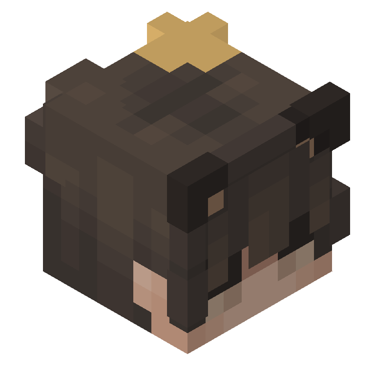 HEAD_ISO
