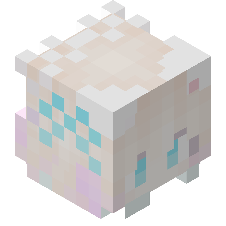 HEAD_ISO