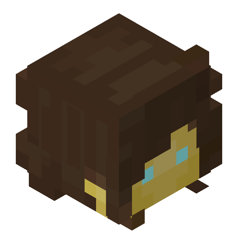 HEAD_ISO