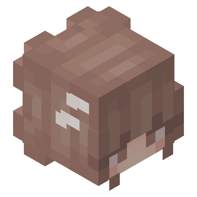 HEAD_ISO