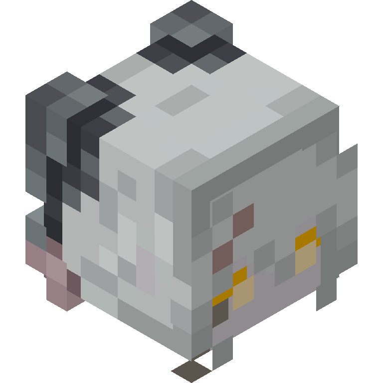 HEAD_ISO