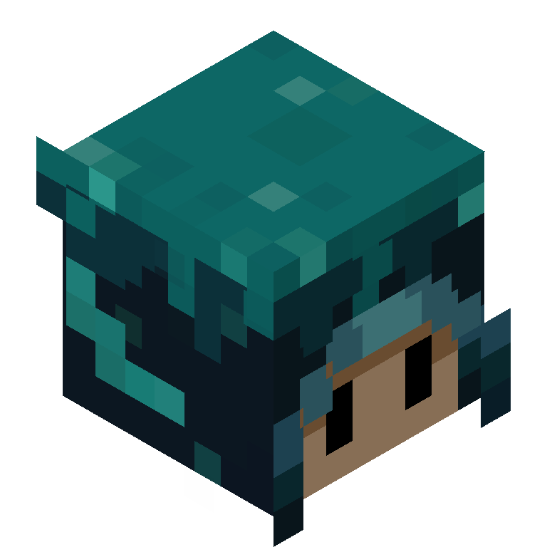 HEAD_ISO