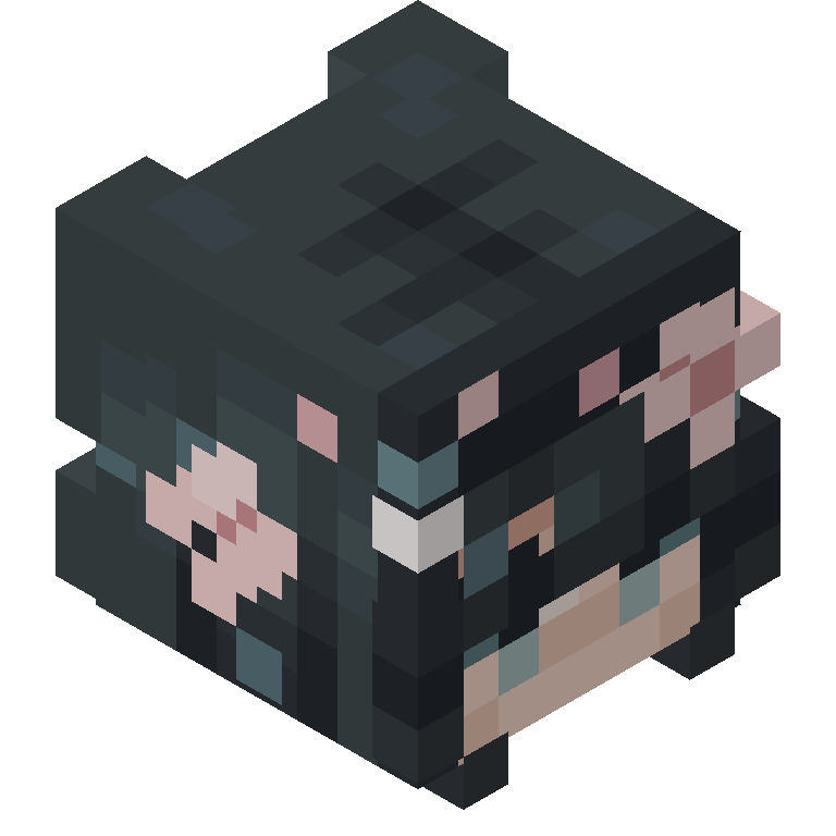 HEAD_ISO