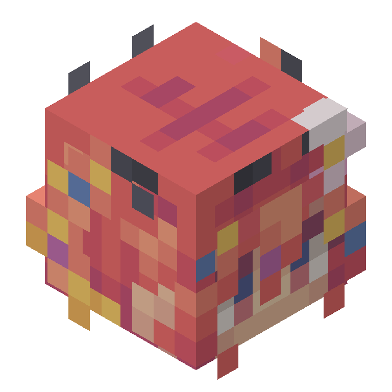 HEAD_ISO
