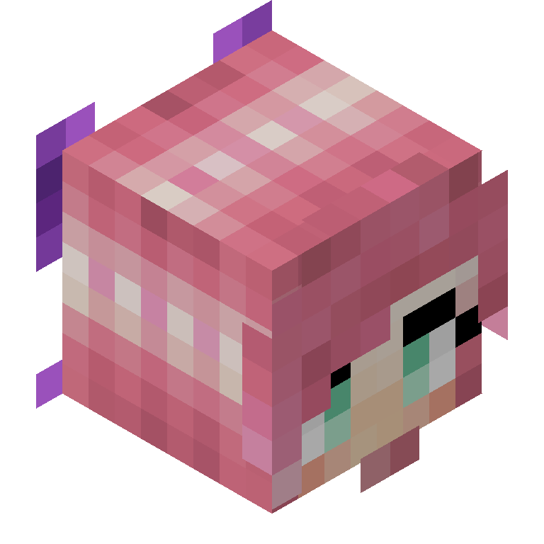 HEAD_ISO