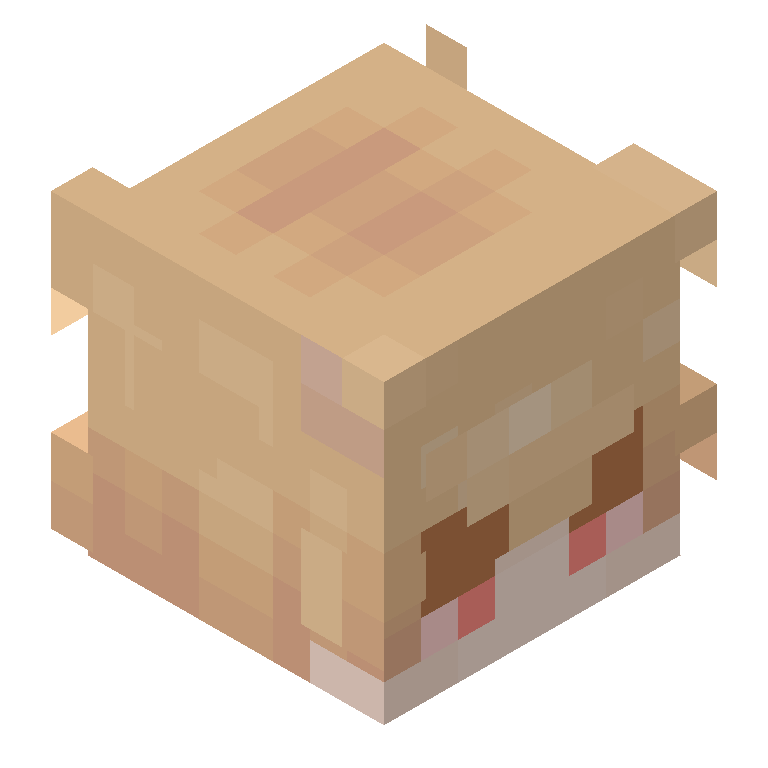 HEAD_ISO