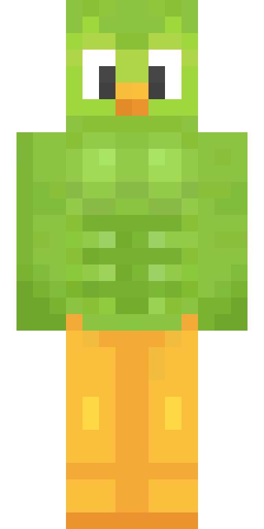 BODY