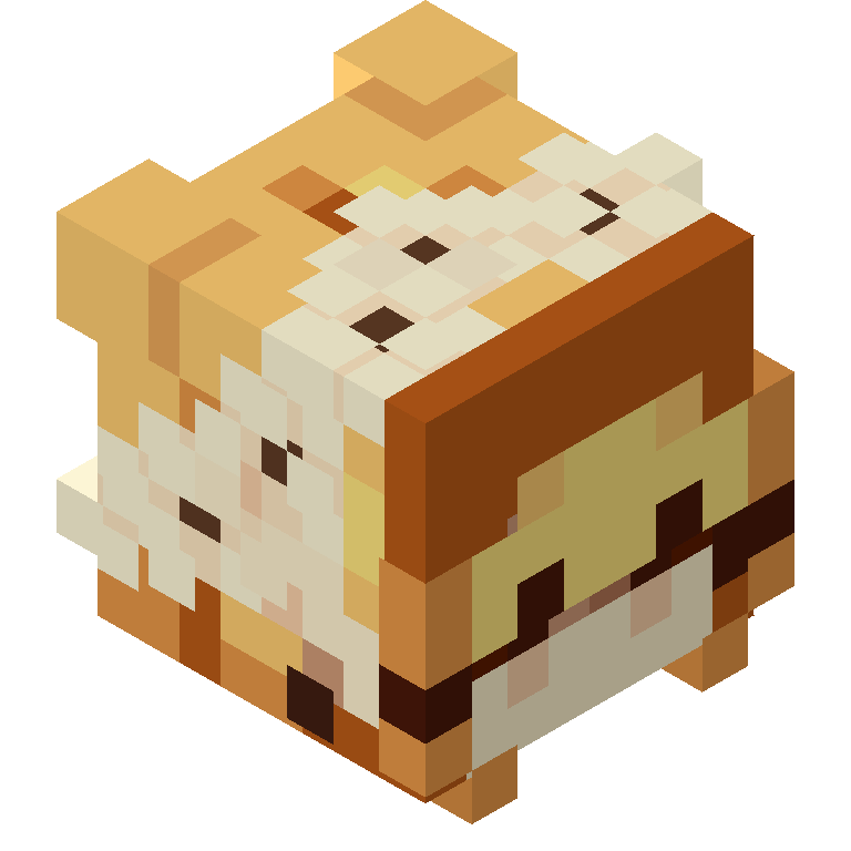 HEAD_ISO