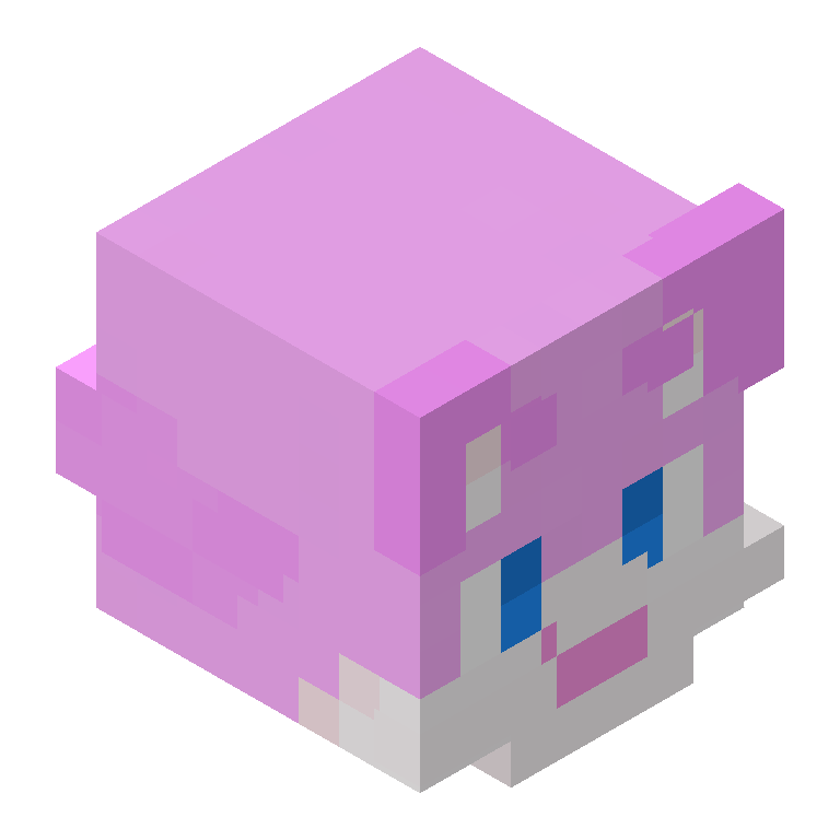 HEAD_ISO