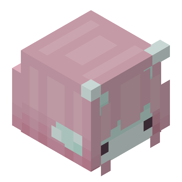 HEAD_ISO