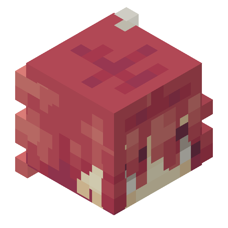 HEAD_ISO
