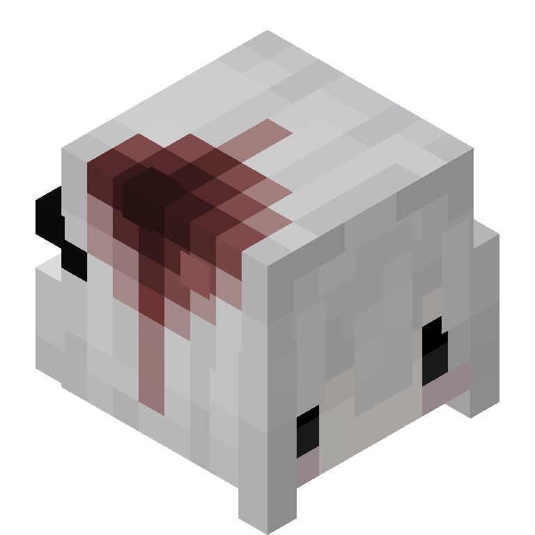 HEAD_ISO