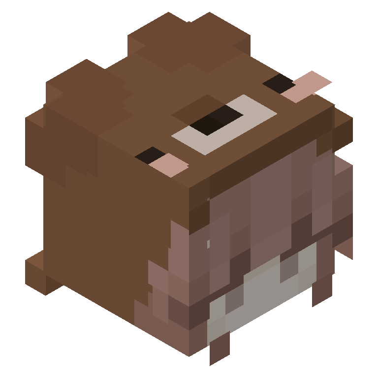 HEAD_ISO