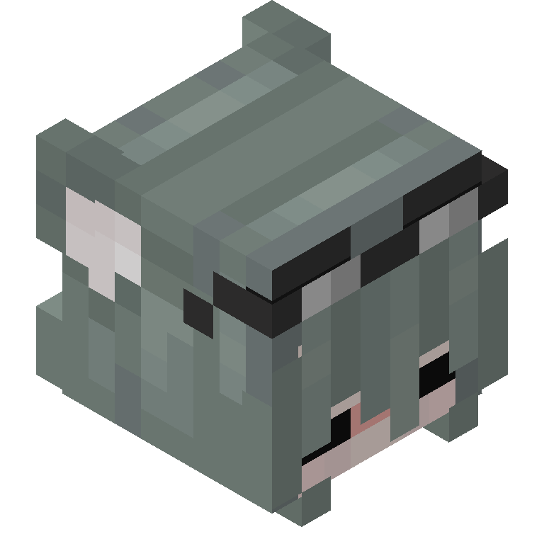 HEAD_ISO
