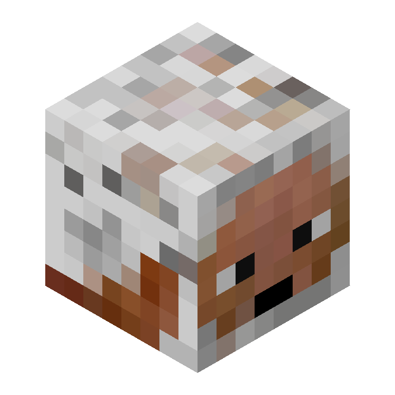 HEAD_ISO