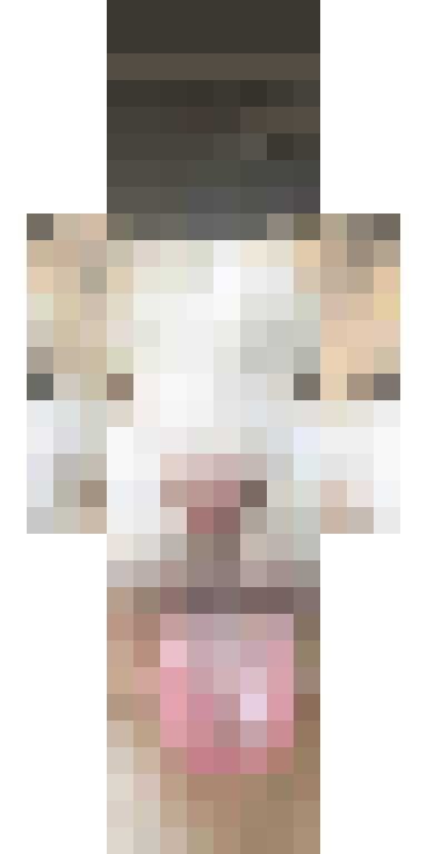 BODY
