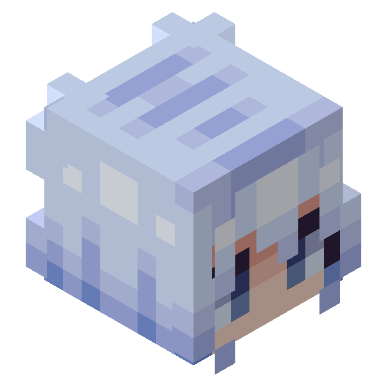 HEAD_ISO