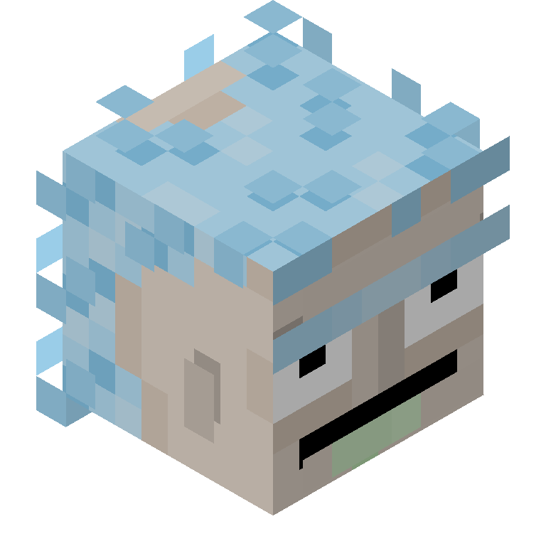 HEAD_ISO